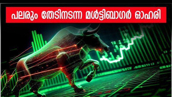 ഒരു വർഷം കൊണ്ട് 248 ശതമാനം വളർച്ച; ഇതൊക്കെയാണ് യഥാർത്ഥ മൾട്ടിബാഗർ, നിക്ഷേപിച്ചാൽ പണം വാരാം