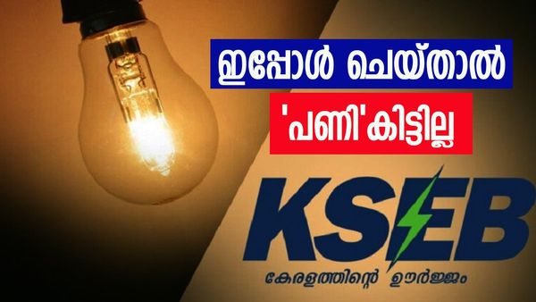 നിങ്ങൾ ഇക്കാര്യം ചെയ്തിട്ടുണ്ടോ? പിഴ ഒഴിവാക്കാൻ മാർച്ച് 31 വരെ അവസരം, അറിയിപ്പുമായി കെഎസ്ഇബി