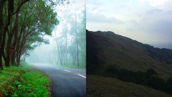 വേനൽ ചൂടിൽ പോകാൻ ഇടം തേടുകയാണോ? ധൈര്യമായി തിരുവനന്തപുരത്തേക്ക് വിട്ടോ, കാണാം ഇവിടങ്ങൾ