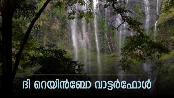 എത്ര ദൂരത്ത് നിന്നും മഴവില്ല് കാണാം; കീഴാർക്കുത്ത് വെള്ളച്ചാട്ടം അപാരം തന്നെ, ശരിക്കും സ്വർഗം പോലെ തോന്നും