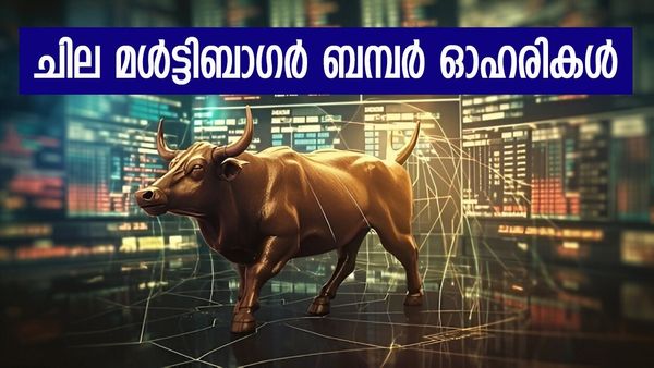 ഇവരാണ് മൾട്ടിബാഗർ ത്രിമൂർത്തികൾ; വില വെറും 25 രൂപയിൽ താഴെ, നേട്ടം 140 ശതമാനം വരെ..! 