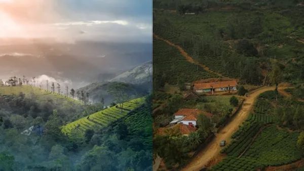 കാടും മേടും വെള്ളച്ചാട്ടവും അണക്കെട്ടുമെല്ലാം കണ്ട് അതിശയങ്ങളുടെ അഞ്ചുരുളിയിലേക്ക്; പാക്കേജ് ഇതാ