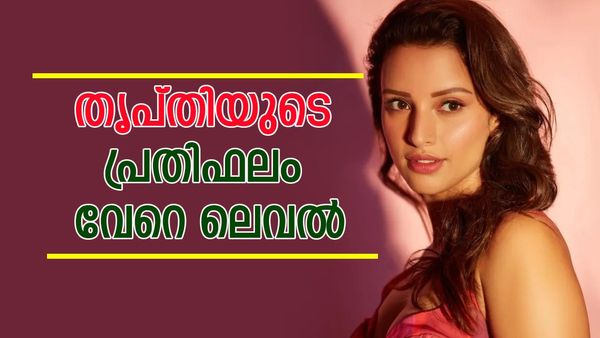 ആനിമലില്‍ സ്റ്റാറായി, തൃപ്തിയുടെ പ്രതിഫലവും കുതിച്ചു; പുതിയ ചിത്രത്തിന് വാങ്ങുന്നത് ഇത്ര