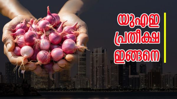 ഇന്ത്യയുടെ ആ തീരുമാനം യുഎഇ വിപണിക്ക് ഉണര്‍വ് നല്‍കും; സവാള വില 20 ശതമാനം കുറയും