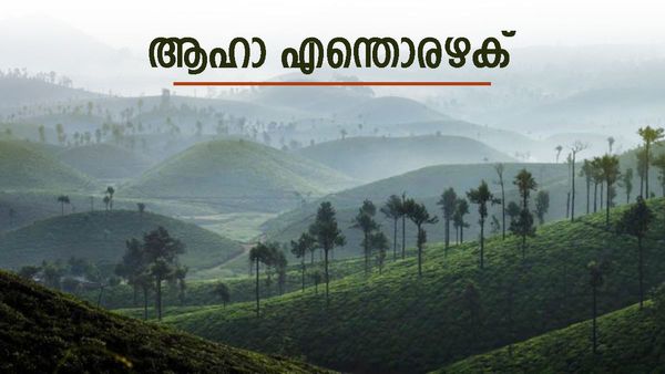 ഒറ്റയ്‌ക്കൊരു കാറും വാൽപ്പാറ റൂട്ടും, ആഹാ അന്തസ്; അതിരപ്പിള്ളി വഴി പോയാൽ അമ്പരപ്പിക്കുന്ന കാഴ്‌ച കാണാം