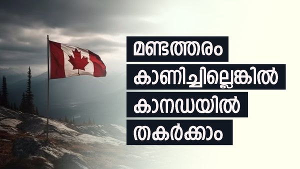 കാനഡയില്‍ ലക്ഷങ്ങള്‍ ശമ്പളമുള്ള ജോലി നേടാം: ചെയ്യേണ്ടത് ഇത്ര മാത്രം, ഡ്രൈവർ മുതല്‍ ആശാരിമാർ വരെ