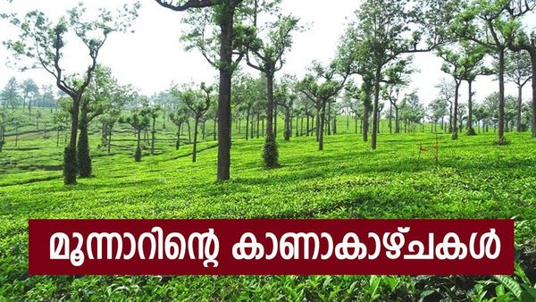 മൂന്നാറിൽ ഇങ്ങനെയും ഒരിടമോ? ചിത്തിരപുരം കണ്ടാൽ ആരായാലും ചോദിച്ചുപോവും, വേനലൊന്നും ഇവിടെ ഏശില്ല