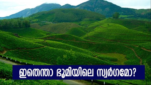മൂന്നാറിന്റെ മടിത്തട്ടിൽ ഉറങ്ങുന്ന ദേവികുളം ഹിൽസ്; ഏത് വേനലിലും ഇവിടെ കോടയും തണുപ്പും, മനോഹരം