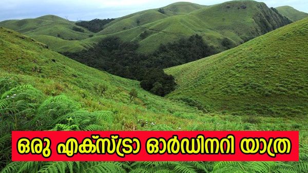 ആവേശമേകാൻ ബോട്ടിംഗും ട്രെക്കിംഗും ക്യാമ്പിംഗും; സഞ്ചാരികളെ മാടിവിളിച്ച് ഗവി, വീണ്ടും തുറന്നു