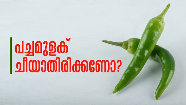 പച്ചമുളക് ദിവസങ്ങളോളം കേടാകാതെ സൂക്ഷിക്കാം; അടുക്കളയില്‍ തന്നെയുണ്ട് പോംവഴികള്‍