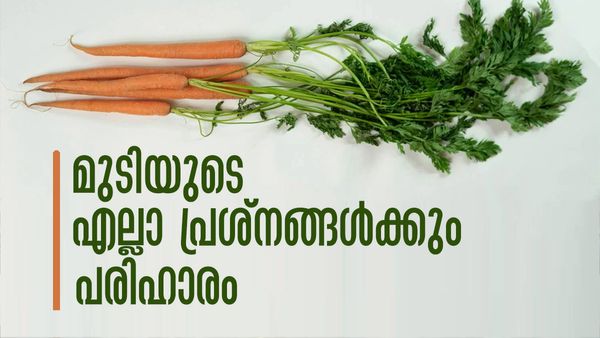 താരന്‍, അകാല നര, മുടി കൊഴിച്ചില്‍... മുടിയുടെ എല്ലാ പ്രശ്‌നങ്ങള്‍ക്കും കാരറ്റിലുണ്ട് പരിഹാരം
