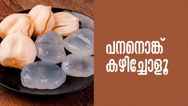 പനനൊങ്ക് കഴിക്കാറുണ്ടോ....? എങ്കില്‍ വയസാകും എന്ന പേടി വേണ്ട, യൗവനം നിലനിര്‍ത്താം