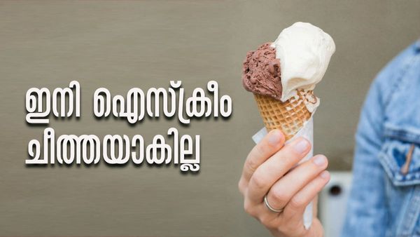 ഫ്രിഡ്ജിലെ ഐസ്‌ക്രീം പെട്ടെന്ന് ചീത്തയായി പോകുന്നോ..? എന്നാല്‍ ഈ വിദ്യ പരീക്ഷിച്ച് നോക്കൂ