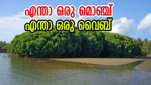 നിങ്ങള് കടലുണ്ടി കണ്ടിക്കാ, ഇല്ലെങ്കിൽ വാ; ഇങ്ങനെയൊരു ഇടം ജീവിതത്തിൽ ഒരിക്കലും കണ്ടിട്ടുണ്ടാവില്ല, ഉറപ്പ്