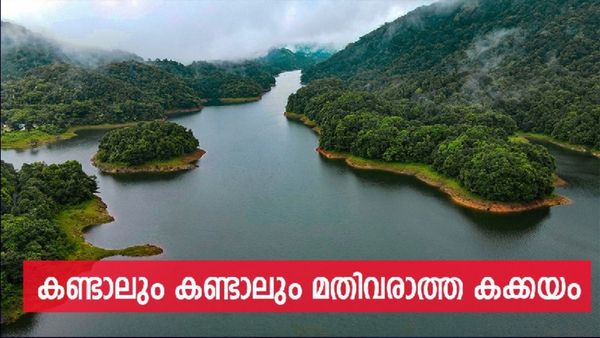 വേനൽചൂടിന് വിട; കക്കയവും കരിയാത്തൻപാറയും കണ്ടേച്ച് പോരാം, നേരമുണ്ടേൽ തുഷാരഗിരിയും കയറാം