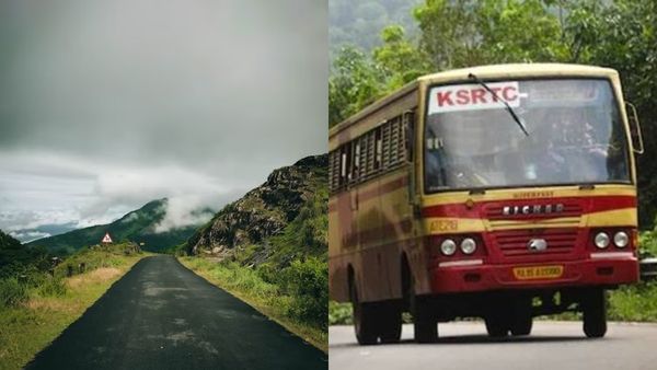 ശെന്തുരുണി കാട് കയറാം, മതിയായില്ലെങ്കിൽ വയനാട്ടിലൂടെ ജംഗിൾ സഫാരിയും; ഇതാ ഗംഭീര പാക്കേജ്