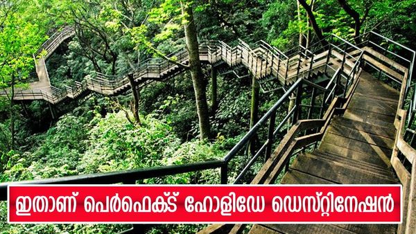 തെന്മല കയറാൻ ഇത് തന്നെ നല്ല നേരം; വേനലും ചൂടും ഒക്കെ കടക്ക് പുറത്ത്, അവധിക്കാലം ആഘോഷമാക്കാം