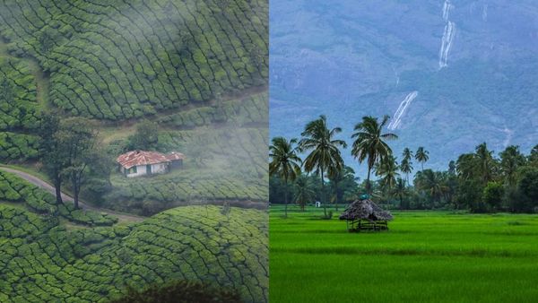 മൂന്നാർ, ഇരവികുളം, വാഗമൺ, കുമളി; അമ്പമ്പോ, പോക്കറ്റ് കീറാതെ യാത്ര പോകാം..32 പാക്കേജുകൾ