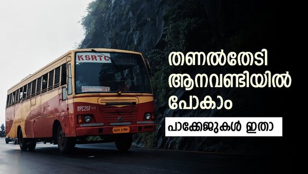 കാടിന് നടുവിലെ മാമലക്കണ്ടവും ഇടുക്കിയുടെ കാണാകാഴ്ചകളും! വേനൽക്കാലം തകർക്കാം, ഡബിൾ ബെല്ലടിച്ചു പോകാം