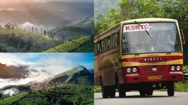 നെല്ലിയാമ്പതി, വയനാട്, ഇല്ലിക്കൽകല്ല്, മൂന്നാർ..; ഞെട്ടിച്ച പാക്കേജുകളുമായി കെഎസ്ആർടിസി