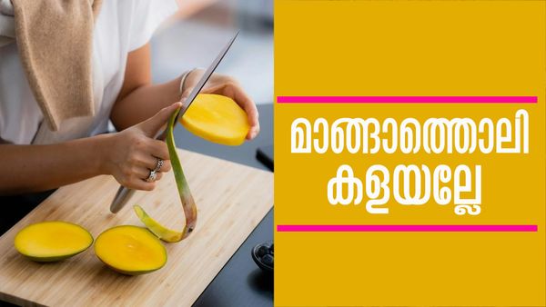 വെറും മാങ്ങാത്തൊലിയെന്ന് പറഞ്ഞ് കളയേണ്ട..! മുറിവുണക്കാന്‍ വരെ ബെസ്റ്റാണ് മാമ്പഴത്തോല്‍