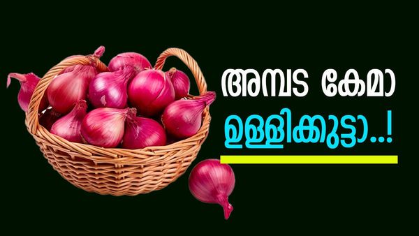 ഉള്ളി അത്ര മോശക്കാരനല്ല കേട്ടോ..? കൊടുംചൂടില്‍ ഉള്ളൊന്ന് തണുക്കാന്‍ ഇവന്‍ തന്നെ ബെസ്റ്റ്
