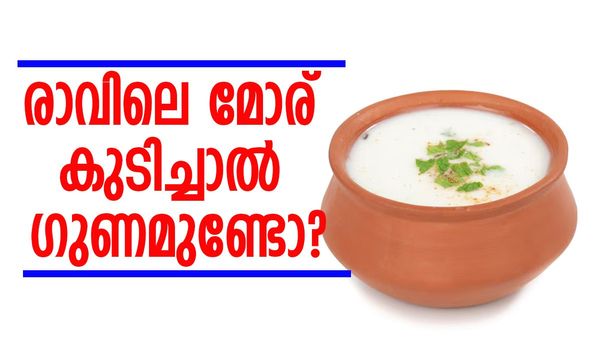 പ്രഭാതഭക്ഷണത്തിൽ ദിവസവും ഒരു ഗ്ലാസ്സ് മോര് കൂടിയാവാം; ​ഗുണങ്ങളുണ്ട്..