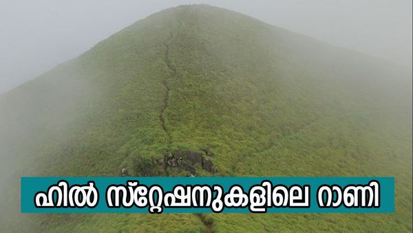 റാണിപുരം ഒന്ന് കണ്ടു വന്നാലോ? വേനലിലും സഞ്ചാരികളുടെ ഇഷ്‌ട ഇടം, ഇവിടുത്തെ കാഴ്‌ച മനം നിറയ്ക്കും