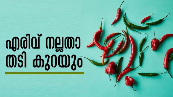 പൊണ്ണത്തടിയും കുടവയറുമാണോ നിങ്ങളുടെ പ്രശ്‌നം; നല്ല എരിവുള്ള ഭക്ഷണം കഴിക്കൂ... സ്ലിം ആകും!