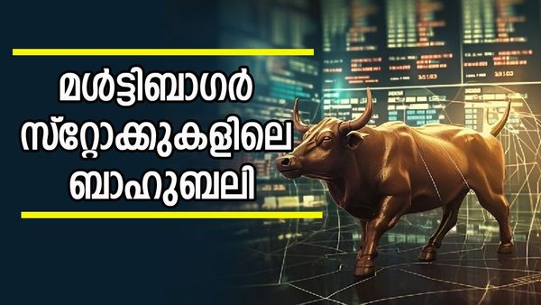 വെറും 10,000 രൂപ 16 ലക്ഷമാക്കി; ഈ മൾട്ടിബാഗർ ഓഹരി തന്നത് സ്വപ്‌ന നേട്ടം, നിക്ഷേപകർ ഡബിൾ ഹാപ്പി