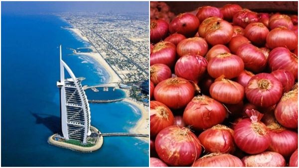 യുഎഇ ആവശ്യപ്പെട്ടു; ഇന്ത്യ ഓകെ പറഞ്ഞു... ചെറിയ പെരുന്നാളിന് 10000 ടണ്‍ സവാള കൂടി