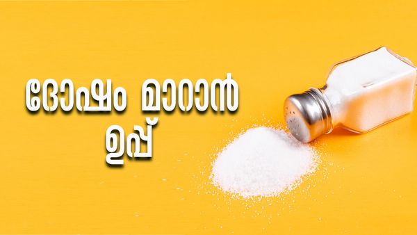 വാതിലില്‍ ഒരു കെട്ട് ഉപ്പ് തൂക്കിയിട്ട് നോക്കൂ; ദോഷങ്ങളെല്ലാം മാറും, സമ്പത്തും ഐശ്വര്യവും നിറയും
