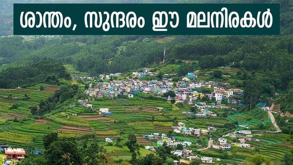 വേനൽ ഒക്കെ മറന്നേക്ക്; വട്ടവട എന്തിനും റെഡി, ഇത്തവണത്തെ അവധിക്കാലം ഈ താഴ്‌വരയിൽ ആയാലോ?