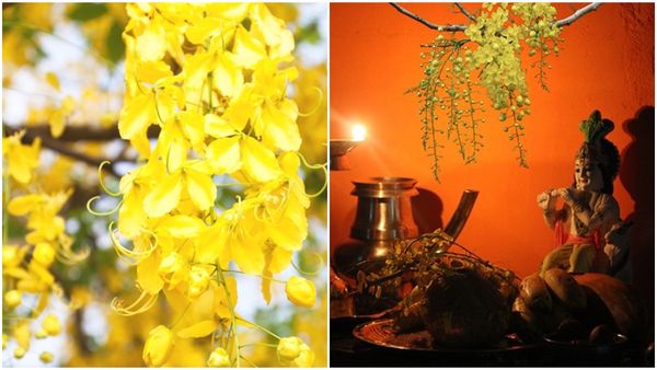 Happy Vishu Wishes In Malayalam | വിഷു ആശംസകൾ 2024: പൊന്നിൻ കണികണ്ട് ആഘോഷിക്കാം വിഷു, ഐതിഹ്യം അറിയാം,
