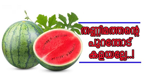 തണ്ണിമത്തന്റെ പുറന്തോട് ഇനി നിങ്ങള്‍ കളയില്ല, രുചിയൂറും വിഭവങ്ങളുണ്ടാക്കാമല്ലോ..!!