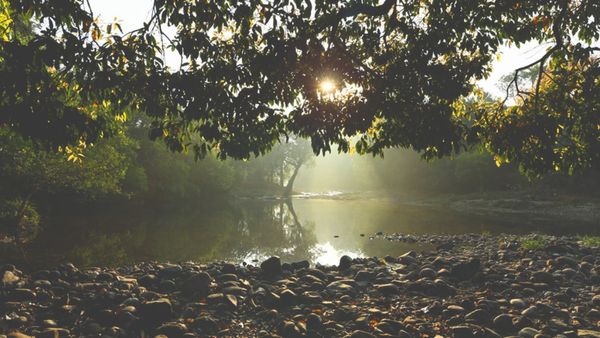 ആനയെ പേടിയില്ലെങ്കിൽ ആറളത്തേക്ക് വിട്ടാലോ? കാടും കുന്നും കയറി ഒരു അടിപൊളി യാത്ര, ഇത് പൊളിക്കും