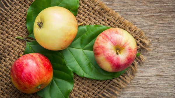 ആപ്പിള്‍ പൊളി മച്ചാനാണ്, കഴിച്ചാല്‍ ഗുണങ്ങള്‍ മാത്രമേ ഉള്ളൂ; കുടവയര്‍ മാത്രമല്ല ഭാരവും കുറയും ഇങ്ങനെ