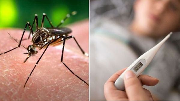 മഴക്കൊപ്പം പകര്‍ച്ചവ്യാധികളും; ജാഗ്രതാ നിര്‍ദേശം പുറപ്പെടുവിച്ച് ആരോഗ്യ വകുപ്പ്