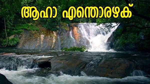 റാഞ്ചിയിൽ അല്ല, ഇത് പാലക്കാട്ടെ ധോണി; കൂറ്റൻ മലനിരകളും നല്ല അടിപൊളി വെള്ളച്ചാട്ടവും, മനം കുളിരും