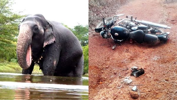 ആറളം ഫാമില്‍ കാട്ടാന ഇരുചക്ര വാഹനം തകര്‍ത്തു ബൈക്ക് യാത്രികര്‍ ഓടി രക്ഷപ്പെട്ടു