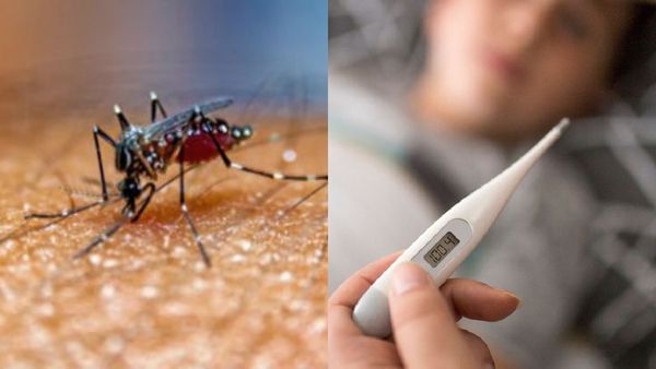 മുണ്ടൂരിലെ 67കാരന്റെ മരണം വെസ്റ്റ് നൈല്‍ പനിയെന്ന് സംശയം; പാലക്കാട് ജാഗ്രതാ നിര്‍ദേശം