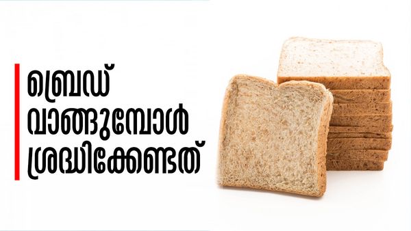 ബ്രെഡ് പെട്ടെന്ന് പൂപ്പല്‍ പിടിക്കുന്നോ..? നല്ലതാണോ എന്ന് എങ്ങനെ തിരിച്ചറിയും? ഇക്കാര്യങ്ങള്‍ മറക്കരുത്