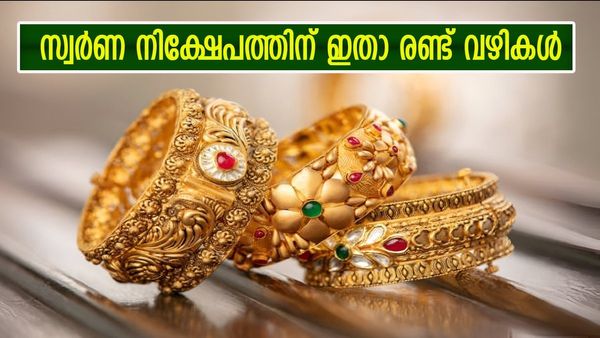 സ്വർണം ആഭരണമായി വാങ്ങണോ ഡിജിറ്റൽ ഗോൾഡ് വേണോ? ഏതാണ് മികച്ച ഓപ്‌ഷൻ, ഉത്തരം ഇതാ 