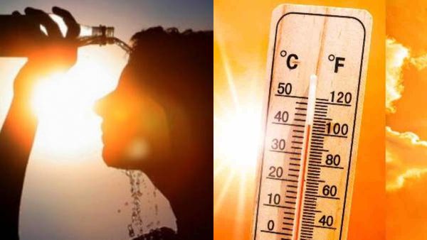 കൊടും ചൂടിൽ നട്ടം തിരഞ്ഞ് പാലക്കാട്; ഭാരതപ്പുഴയും തൂതപ്പുഴയും വറ്റിവരണ്ടു, കുടിവെള്ള ക്ഷാമം രൂക്ഷം