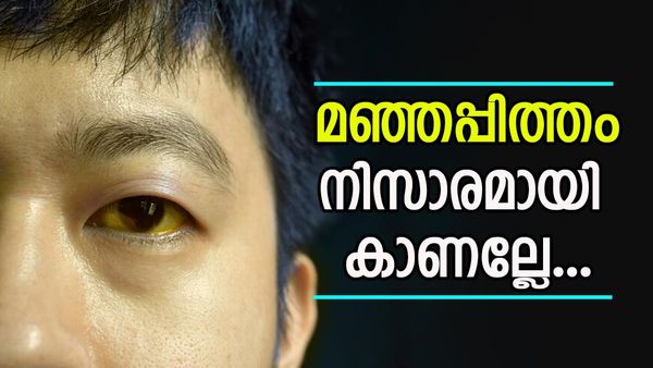 വേനലിൽ വില്ലനായി മഞ്ഞപ്പിത്തം; ശ്രദ്ധിച്ചില്ലെങ്കിൽ ജീവനെടുക്കും, രോഗലക്ഷണവും പ്രതിരോധവും അറിയാം 