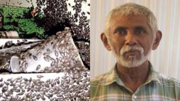 ഓട്ടുമറയെ നശിപ്പിക്കാന്‍ ജൈവ കീടനാശിനിയുമായി മലയോര കര്‍ഷകന്‍