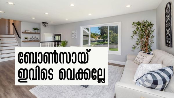 സ്വീകരണമുറിയില്‍ ഈ ചെടികള്‍ വെക്കല്ലേ..! മുടിഞ്ഞ് കുത്തുപാളയെടുക്കും