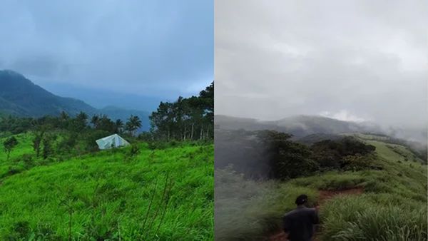 ഊട്ടി വരെ പോയി സമയവും പൈസയും കളയേണ്ട; വേനലിലും പോകാൻ പറ്റുന്ന കേരളത്തിലെ ഊട്ടികൾ