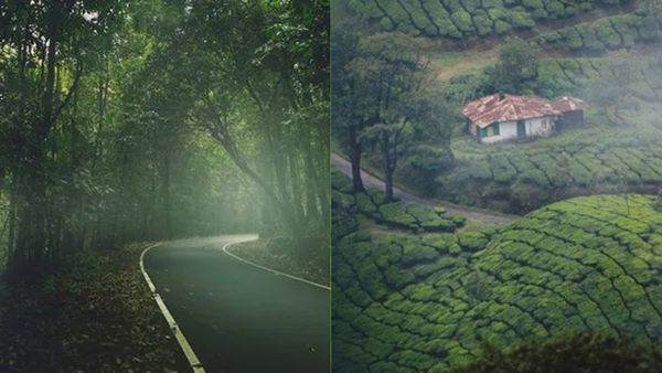 ഊട്ടിയും കൊടൈക്കനാലും പോകാനൊത്തില്ലേ? എന്തിന് വിഷമിക്കണം, ഊട്ടി തോൽക്കും കാഴ്ചയുണ്ട് കേരളത്തിൽ,ഇതാ