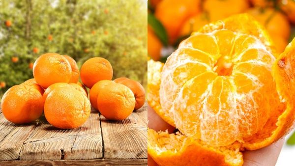 ഓറഞ്ച് ആളൊരു കേമന്‍ തന്നെ, കുടവയറും ഭാരവും കുറയ്ക്കാന്‍ മിടുക്കന്‍; ഇങ്ങനെ കഴിച്ചുനോക്കൂ